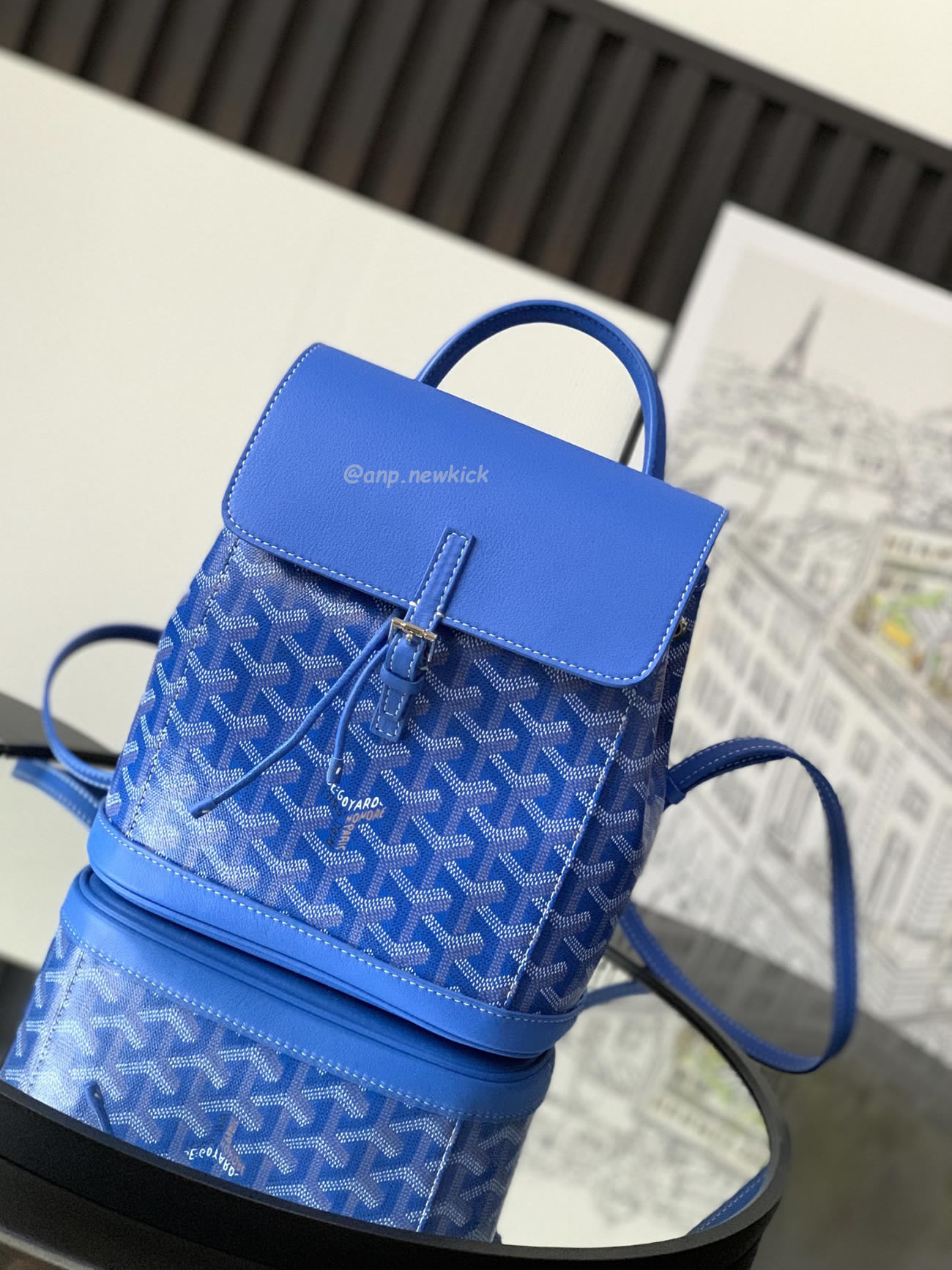 Goyard Alpin Mini Backpack 23 Cm X 9.5 Cm X 19 Cm (17) - newkick.app